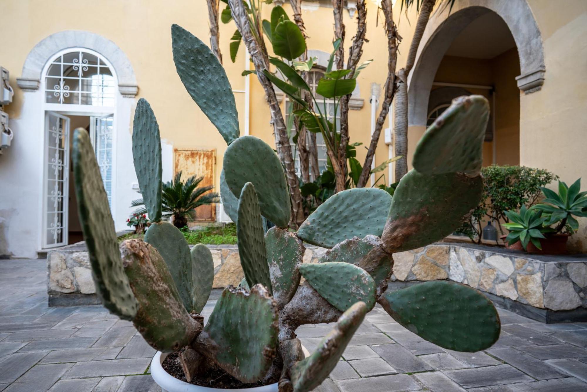 Вілла Casa Orchidea D'Oro Syracuse Екстер'єр фото
